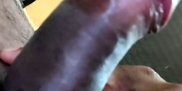 Play XXX Porn Video Sex