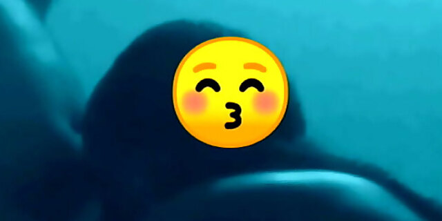 Play XXX Porn Video Sex