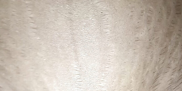 couple,cum in mouth,hd,indian,kissing,licking,maid,mom,public,pussy,sex